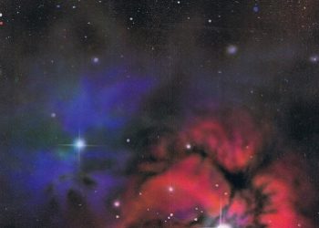 Robert Estalella – Gwiazdy