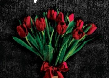 Koffi Kwahulé – Nema