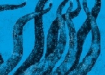 Ricardo Henriques – Morze