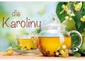 Praca zbiorowa – Dla Karoliny