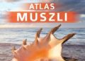 Maja Prusińska – Atlas muszli