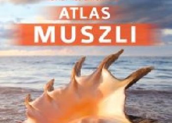 Maja Prusińska – Atlas muszli