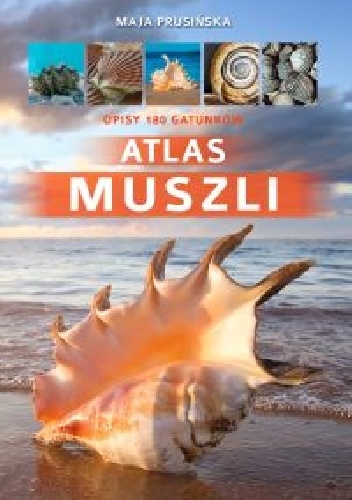Maja Prusińska – Atlas muszli