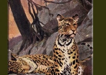 Bronisław Grąbczewski – Wspomnienia myśliwskie