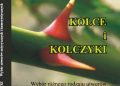 ZBIGNIEW KURZYŃSKI – KOLCE i KOLCZYKI