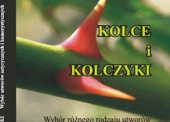 ZBIGNIEW KURZYŃSKI – KOLCE i KOLCZYKI
