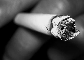 Katarzyna Niesporek – „Ja” Świetlickiego