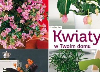 Jarosław Rak – Kwiaty w twoim domu