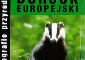 Przemysław Kurek, Łukasz Piechnik – Borsuk europejski