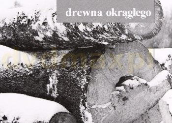 Marian Czuraj – Tablice miąższości drewna okrągłego