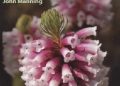 John Manning – A Field Guide to Fynbos