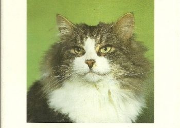 Aleksandra Konarska-Szubska – Mój Kot