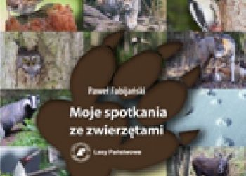 Paweł Fabijański – Moje spotkania ze zwierzętami