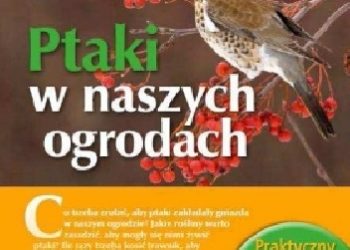 Andrzej G. Kruszewicz – Ptaki w naszych ogrodach
