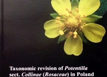 Jeremi Kołodziejek – Taxonomic revision of Potentilla sect. Collinae (Rosaceae) in Poland
