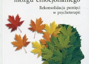 Odblokowanie mózgu emocjonalnego