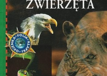 Steve Pollock – Groźne zwierzęta