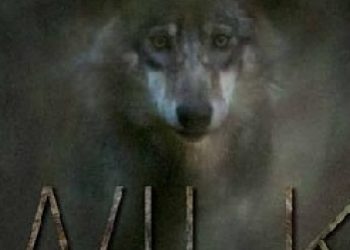 Sławomir Wąsik – Wilki – eseje