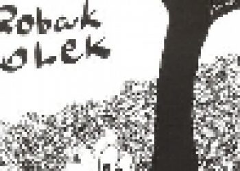 Anna Litwinek – Robak Lolek