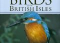 Elizabeth Balmer – A field guide to the birds of The British Isles