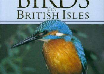 Elizabeth Balmer – A field guide to the birds of The British Isles