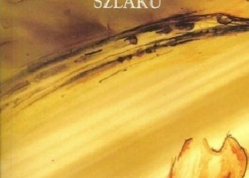 Adam Nobis – Krótki przewodnik po Nowym Jedwabnym Szlaku