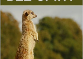 Graca Andrzej – Bez spiny, czyli nie ma czego się bać