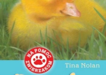 Tina Nolan – Dusia-zagubione kaczątko