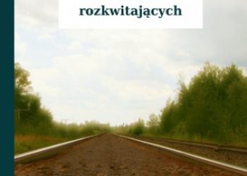 Kamil Baczyński Krzysztof – U niebios rozkwitających