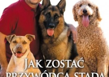 Cesar Millan, Jo Peltier Melissa – Jak zostać przywódcą stada. Sposób Cesara, aby odmienić swojego psa i własne życie