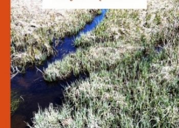 Baranauskas Antanas – Anykšči šilelis