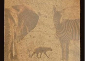 Joanna Rajch – El cuento de la tierra roja