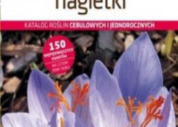 Treder Jadwiga – Krokusy, lilie, nagietki. Katalog