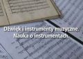 Małgorzata Przedpełska-Bieniek – Dźwięk i instrumenty muzyczne. Nauka o instrumentach