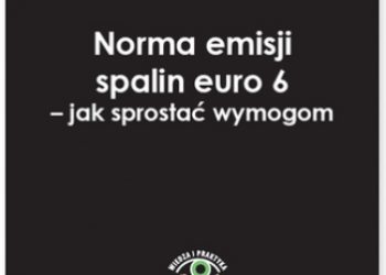 Praca zbiorowa – Norma emisji spalin euro 6 – jak sprostać wymogom