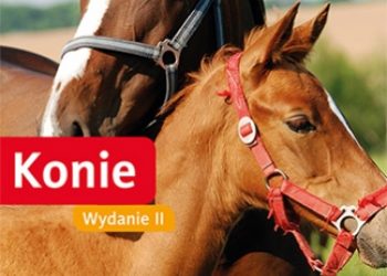Witold Wrotek – Konie. Poradnik bez kantów. Wydanie II