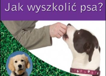 Sarah Hodgson – Jak wyszkolić psa? Patrz i ucz się!