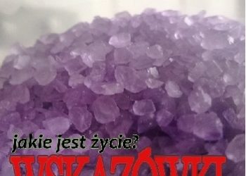 Patryk Stolarski – Wskazówki