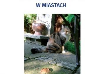Zwierzęta konfliktowe w miastach
