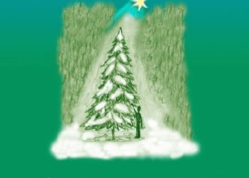 Łucja Danielewska – Człowiek, który ubrał choinkę