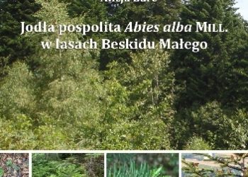 Barć Alicja – Jodła pospolita Abies alba Mill. w lasach Beskidu Małego
