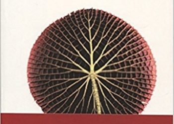 Stefano Mancuso – El futuro es vegetal