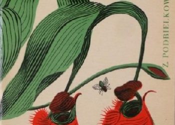 Zbigniew Podbielkowski – Rośliny owadożerne