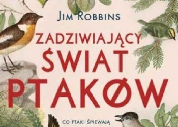 Jim Robbins – Zadziwiający świat ptaków. Co ptaki śpiewają o nas samych?