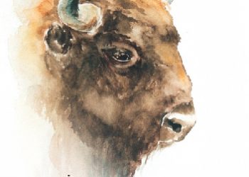 Arkadiusz Szaraniec – Żubry lubią jeżyny