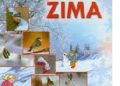 Elżbieta Zarych – Zima