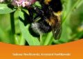 Tadeusz Pawlikowski, Krzysztof Pawlikowski – Trzmielowate Polski. (Hymenoptera: Apidae: Bombini)