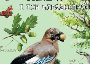 Wojciech Gil – O drzewach i ich mieszkańcach