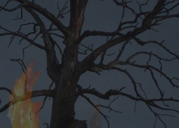 Artur Dębski – Parafia