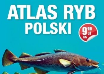 Joanna Grabowska – Atlas ryb polski